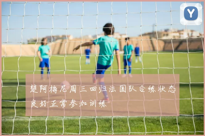 楚阿梅尼周三回归法国队合练状态良好正常参加训练